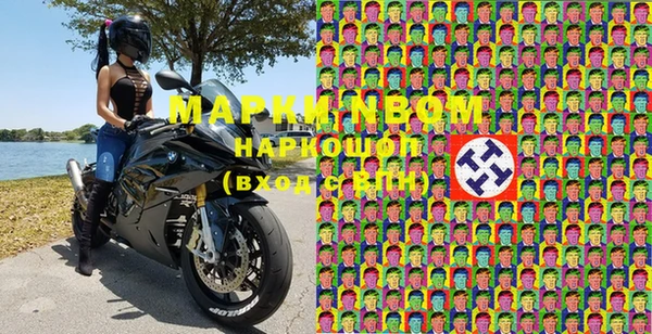 гашик Богданович